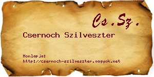Csernoch Szilveszter névjegykártya
